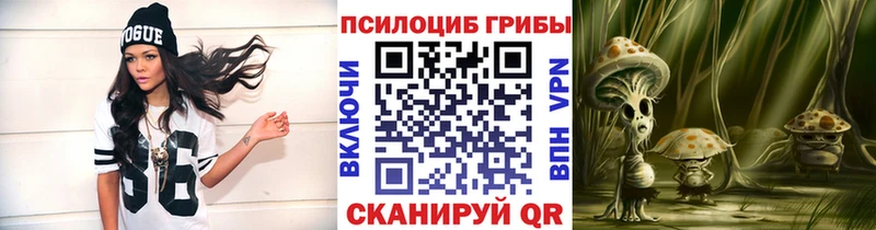 площадка телеграм  сколько стоит  Карабулак  Псилоцибиновые грибы прущие грибы 