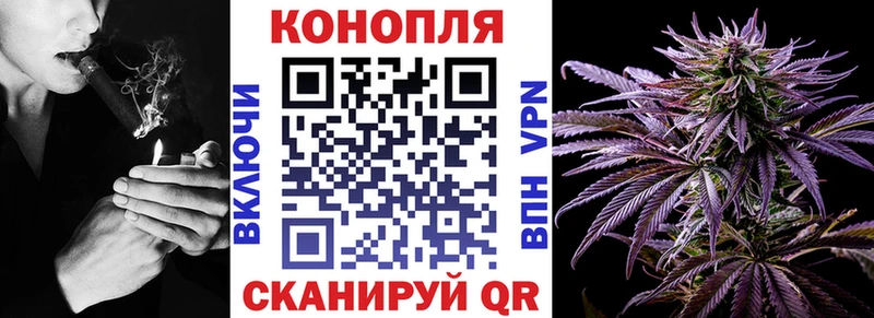 Бошки Шишки конопля  Карабулак 